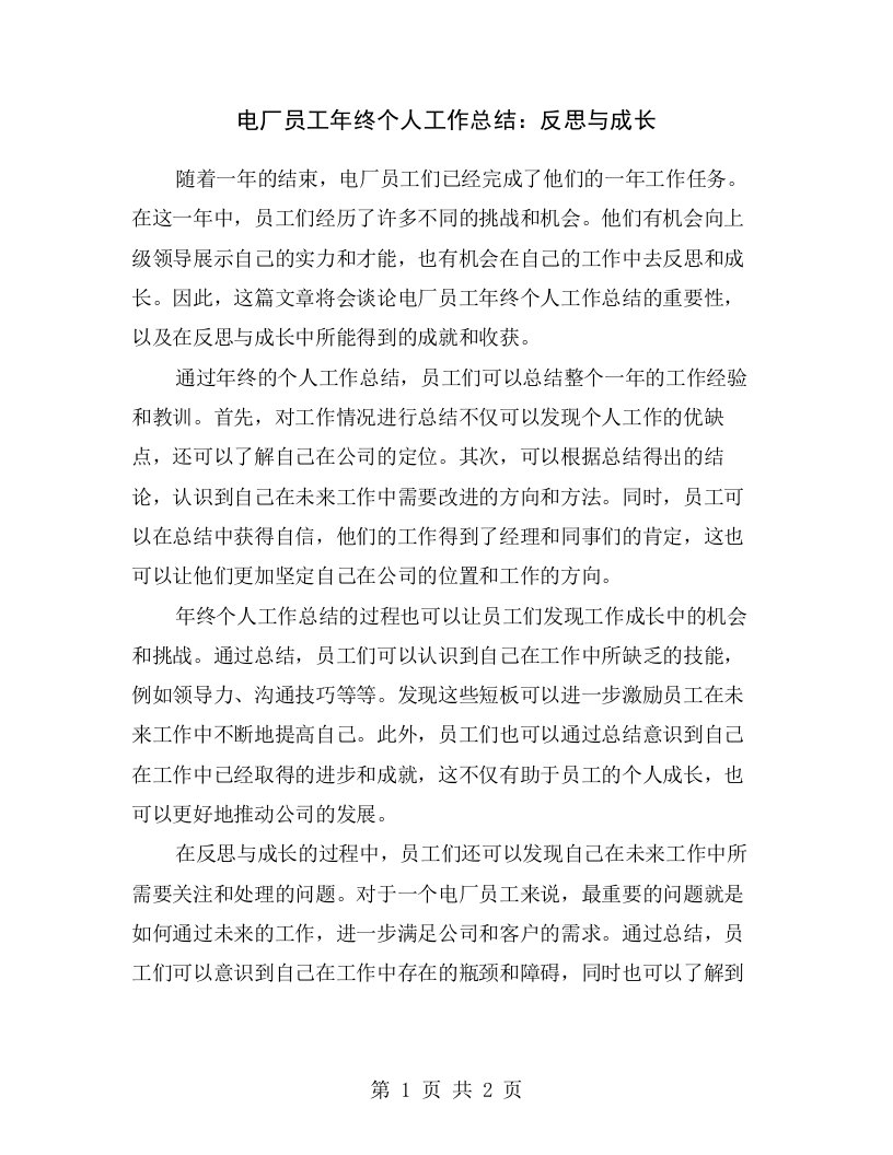 电厂员工年终个人工作总结：反思与成长