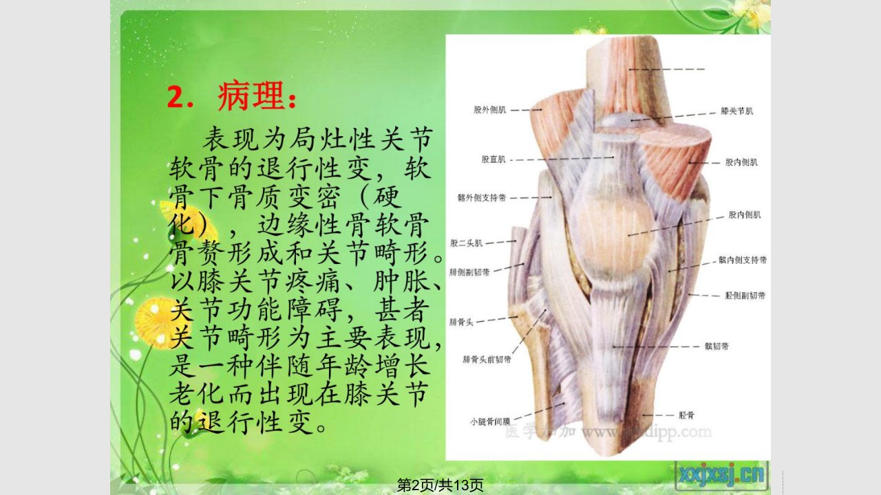 康复医学精彩