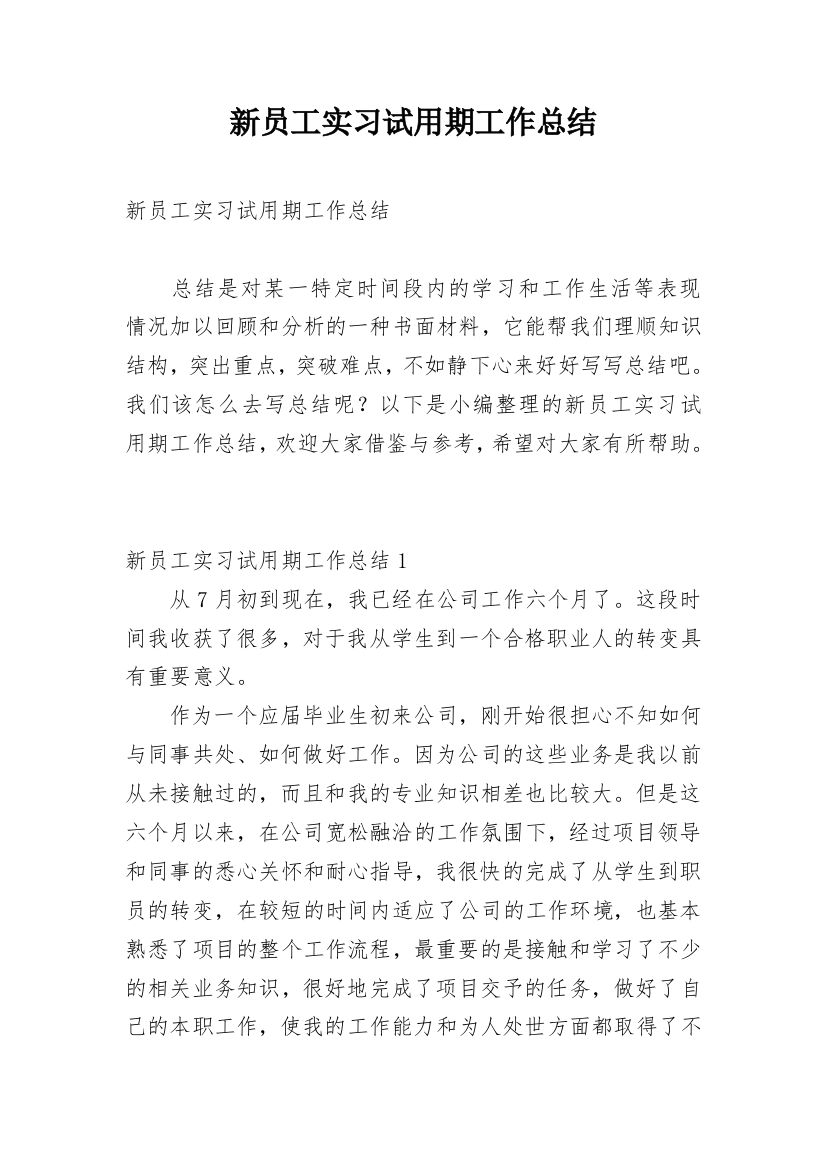 新员工实习试用期工作总结