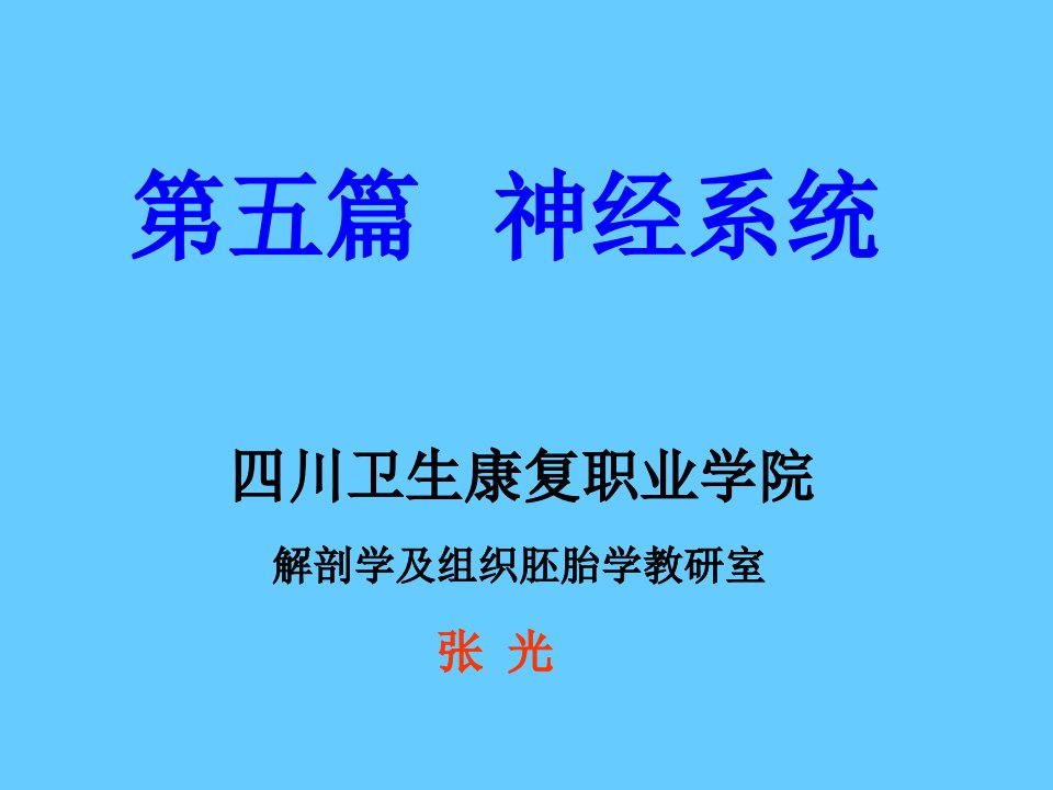 《试讲：脊髓》PPT课件