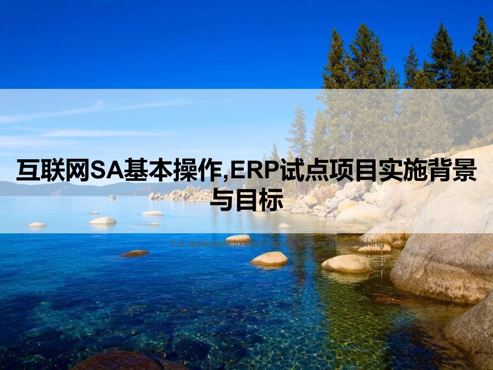 《互联网SA基本操作,ERP试点项目实施背景与目标》PPT课件讲义