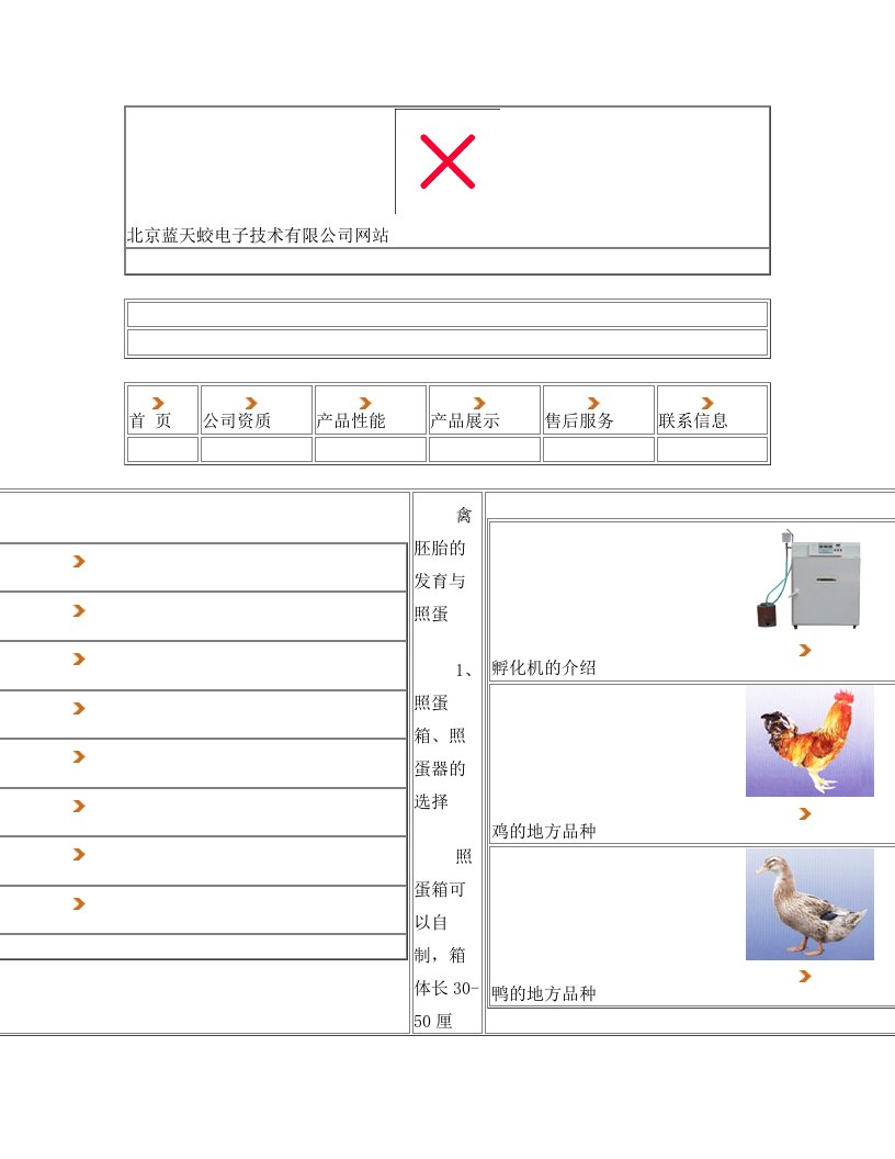 禽类胚胎发育图