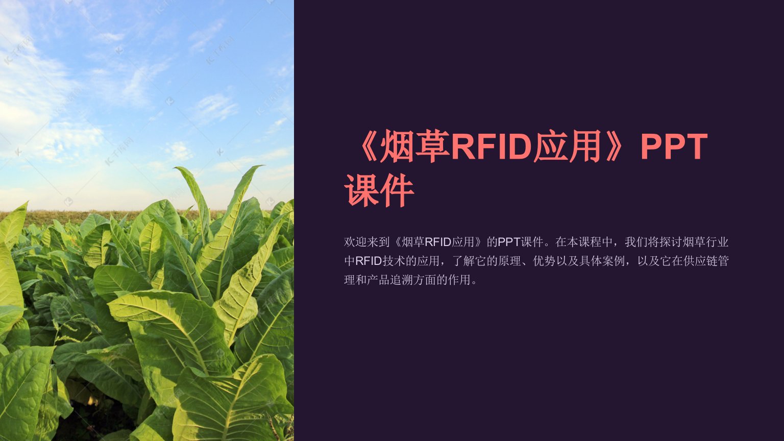 《烟草RFID应用》课件