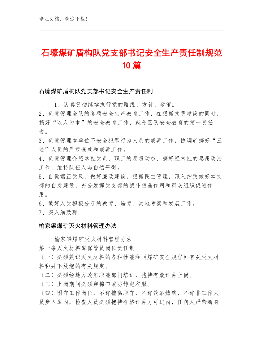 石壕煤矿盾构队党支部书记安全生产责任制规范10篇