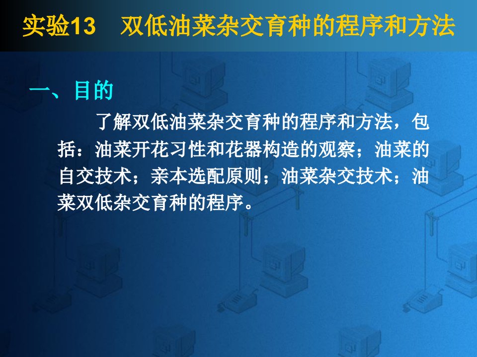 了解双低油菜杂交育种的程序和方法