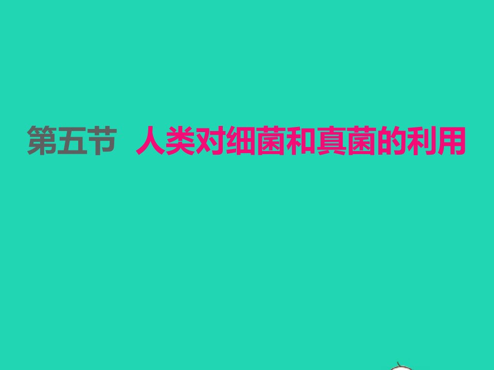 2022八年级生物上册第五单元生物圈中的其他生物第四章细菌和真菌第5节人类对细菌和真菌的利用课件新版新人教版