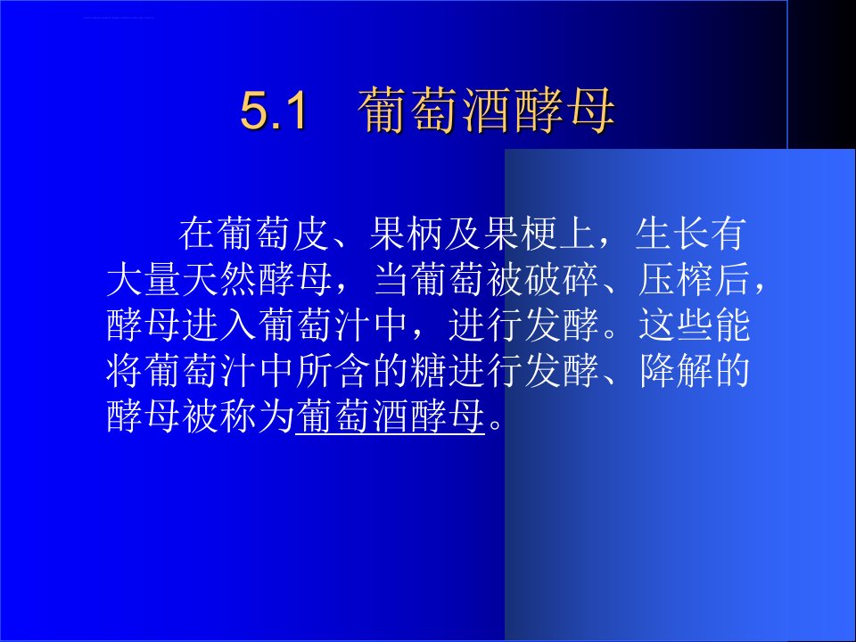 葡萄酒的酿造ppt课件