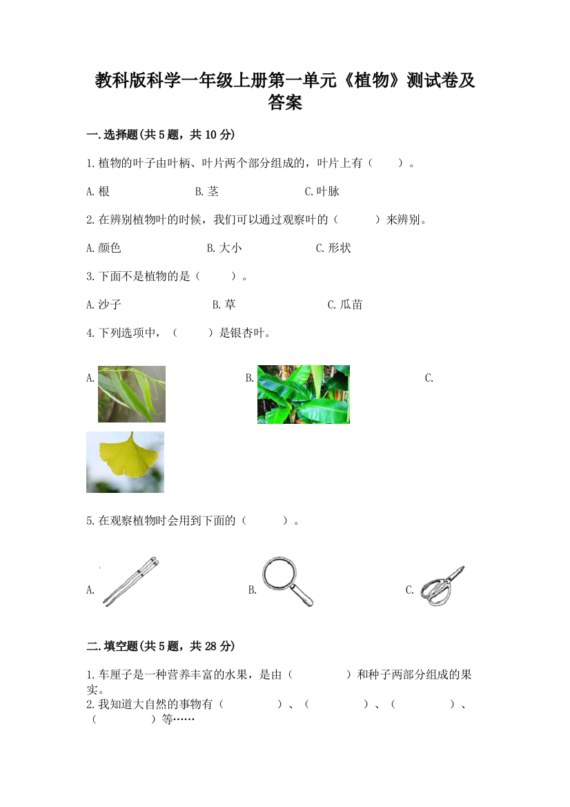 教科版科学一年级上册第一单元《植物》测试卷及答案带答案【研优卷】