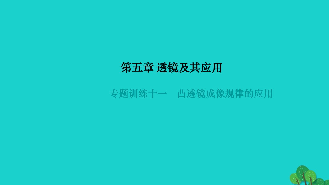 2022八年级物理上册第五章透镜及其应用专题训练十一凸透镜成像规律的应用作业课件新版新人教版