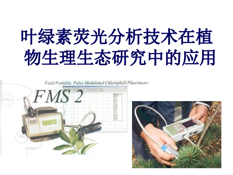 叶绿素荧光研究技术