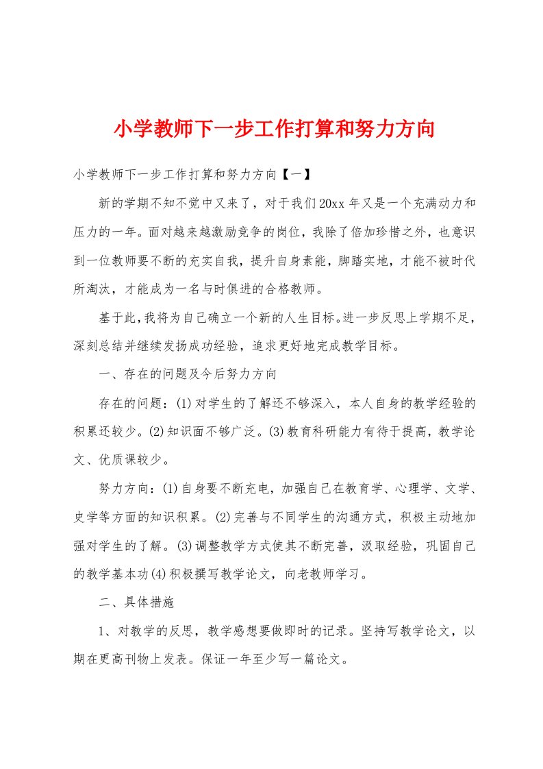 小学教师下一步工作打算和努力方向