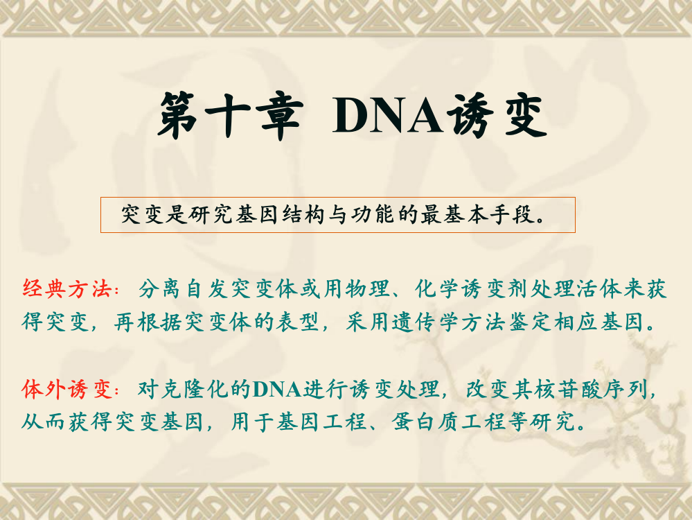 基因工程8-DNA诱变ppt课件