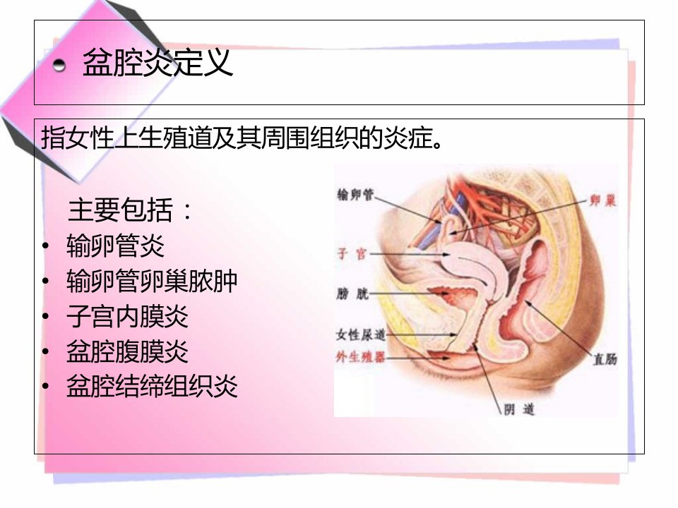 急慢性盆腔炎PPT课件