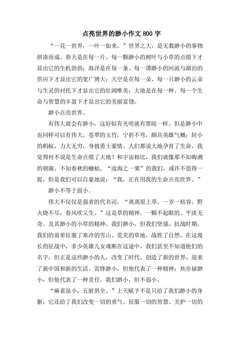 点亮世界的渺小作文800字