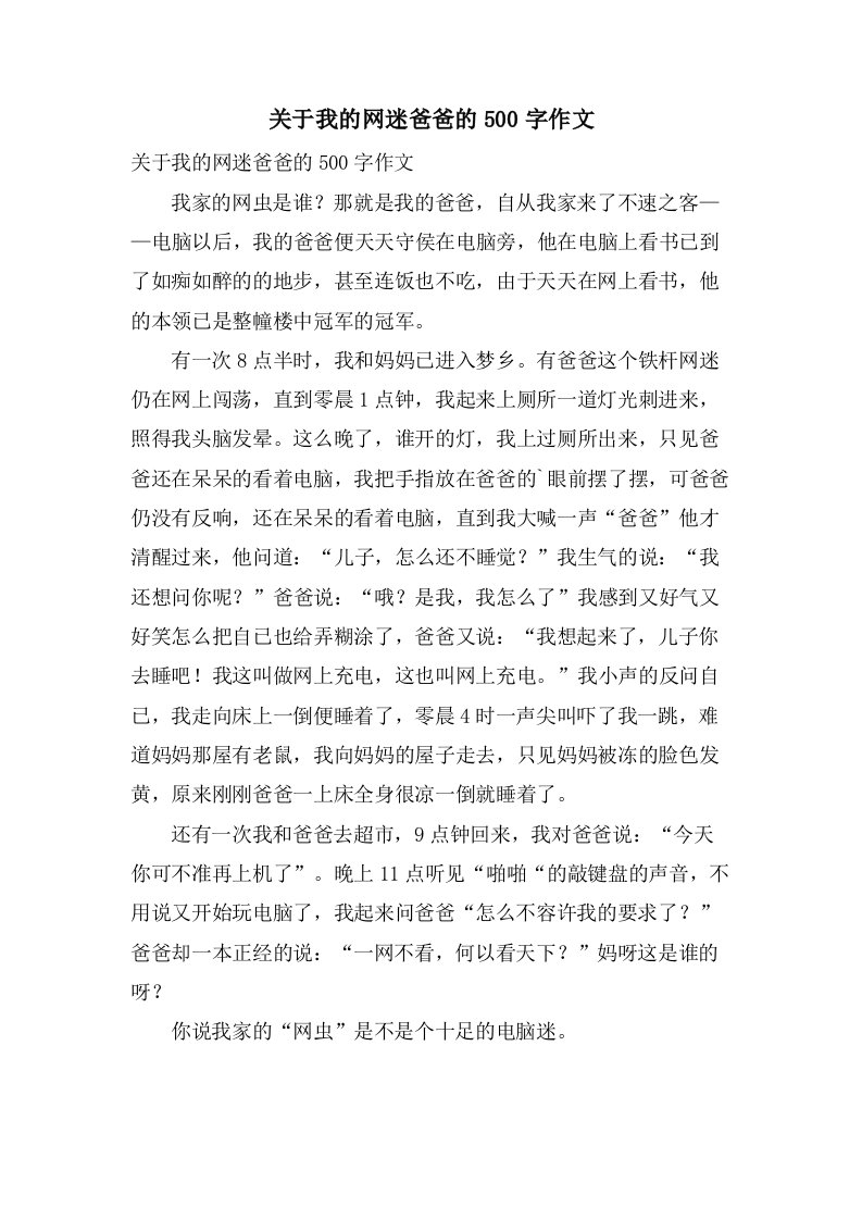 关于我的网迷爸爸的500字作文