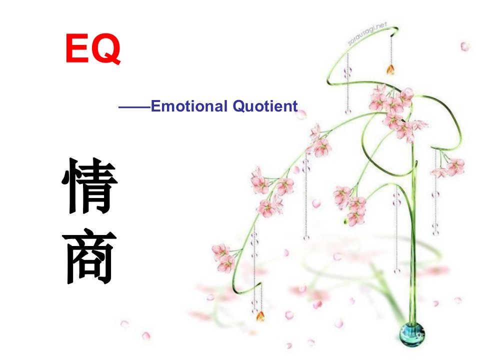 EQ-英语演讲