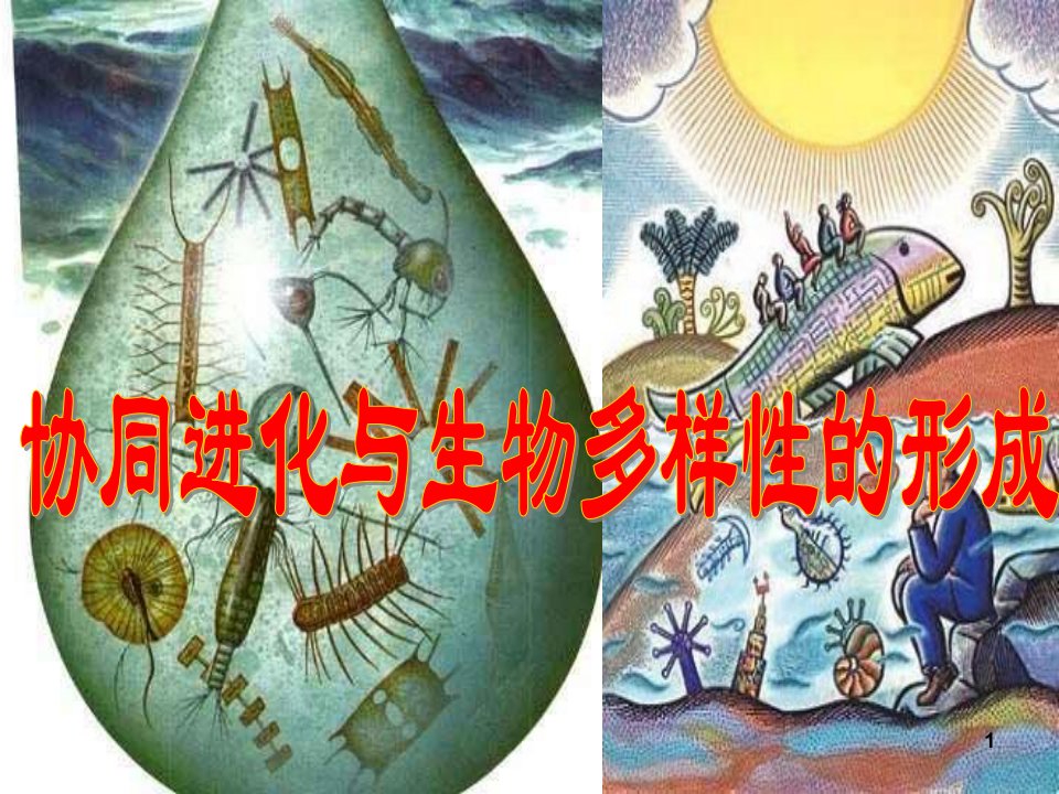 协同进化与生物多样性的形成完美ppt课件人教版