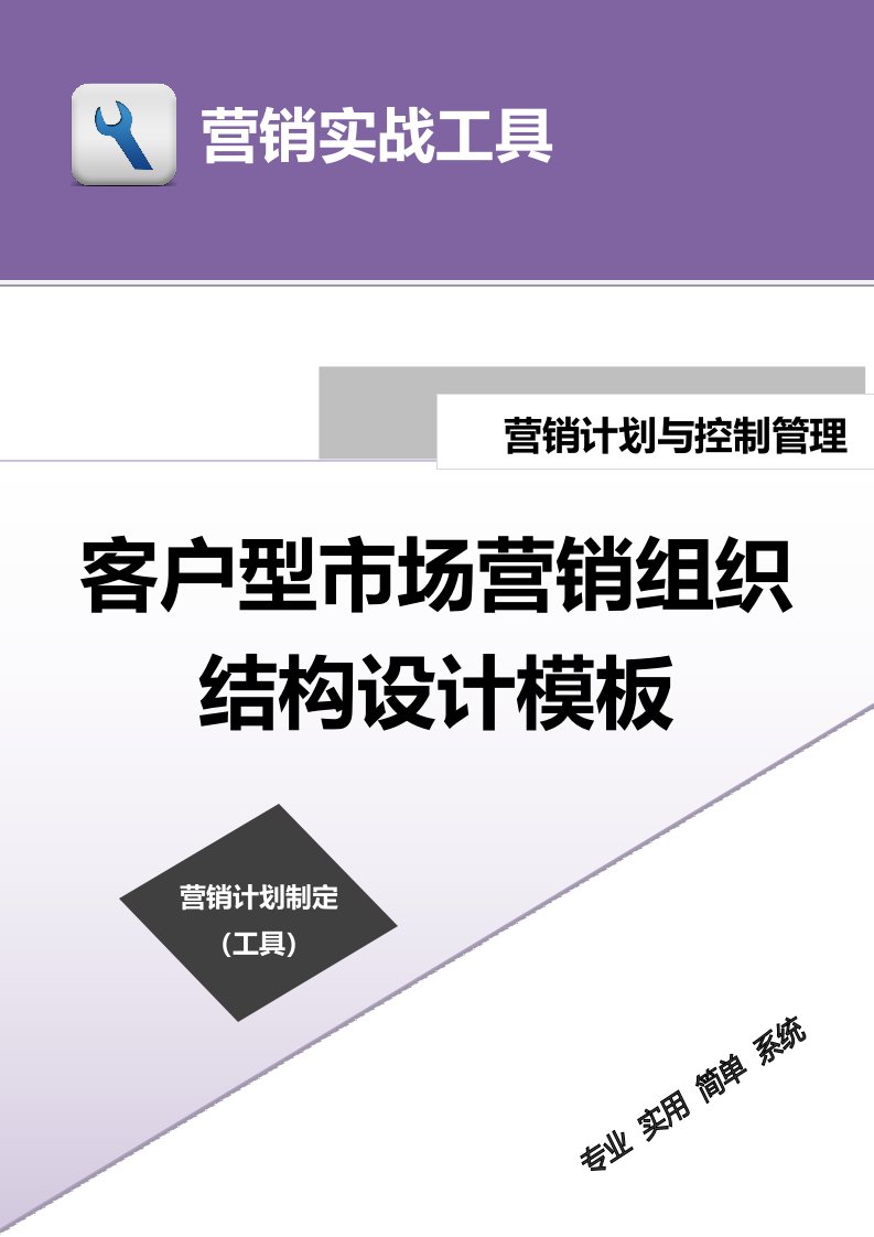 企业管理-客户型市场营销组织结构设计模板