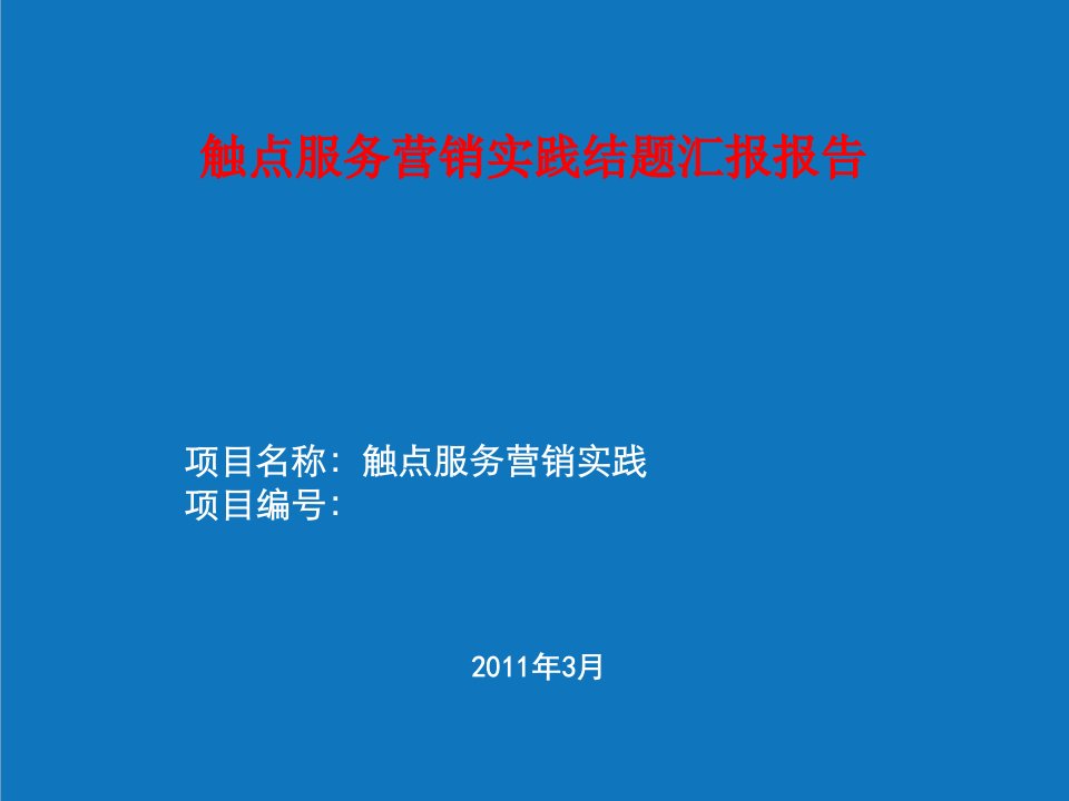 触点服务营销实践结题汇报报告