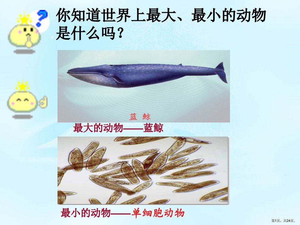 人教版单细胞生物教学课件(共23张)