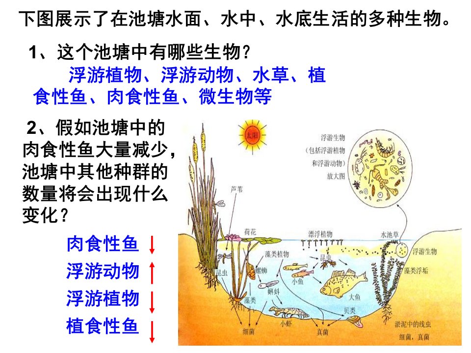 群落上课时使用