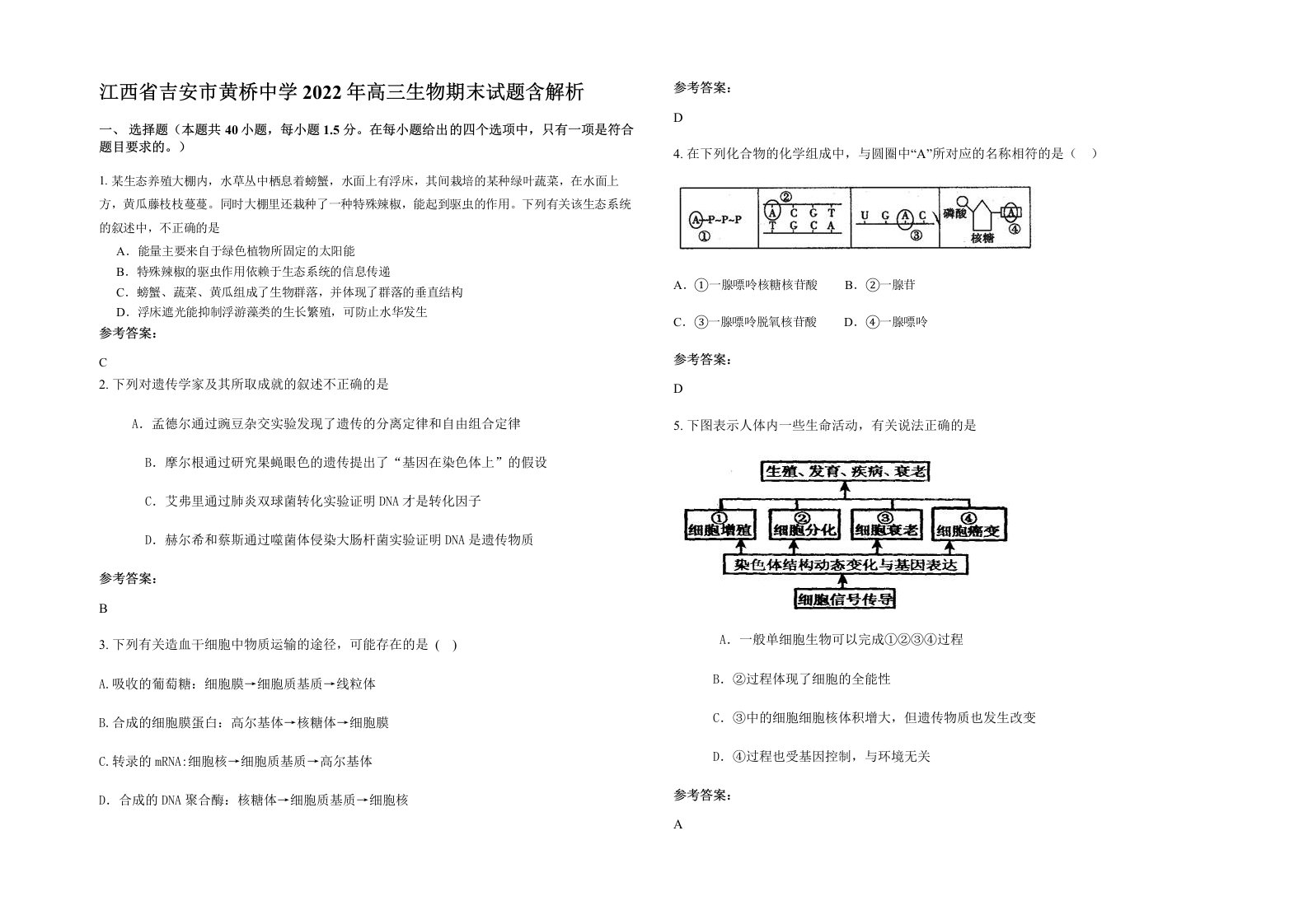 江西省吉安市黄桥中学2022年高三生物期末试题含解析