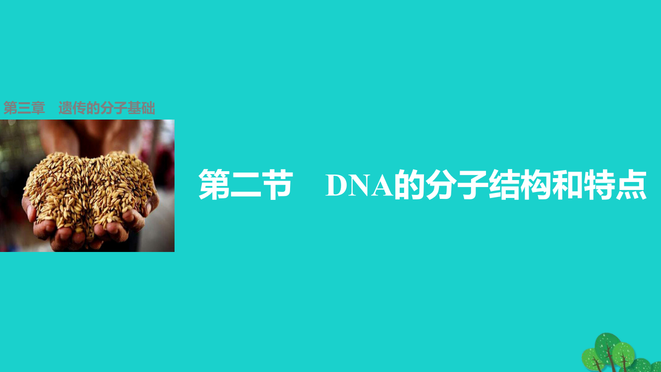 高中生物---DNA的分子结构和特点-浙科版必修