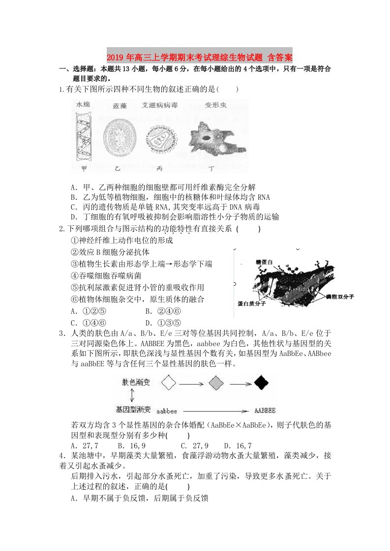 2019年高三上学期期末考试理综生物试题