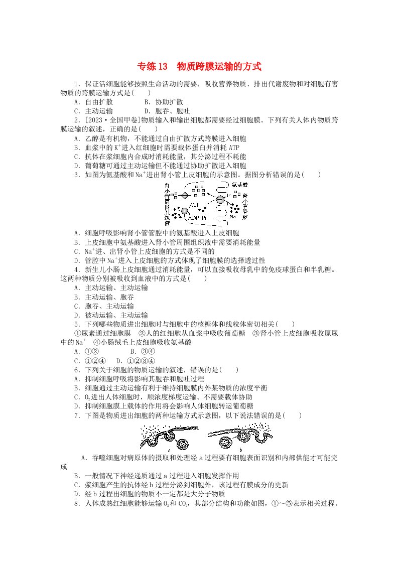 统考版2024版高考生物一轮复习微专题小练习专练13物质跨膜运输的方式