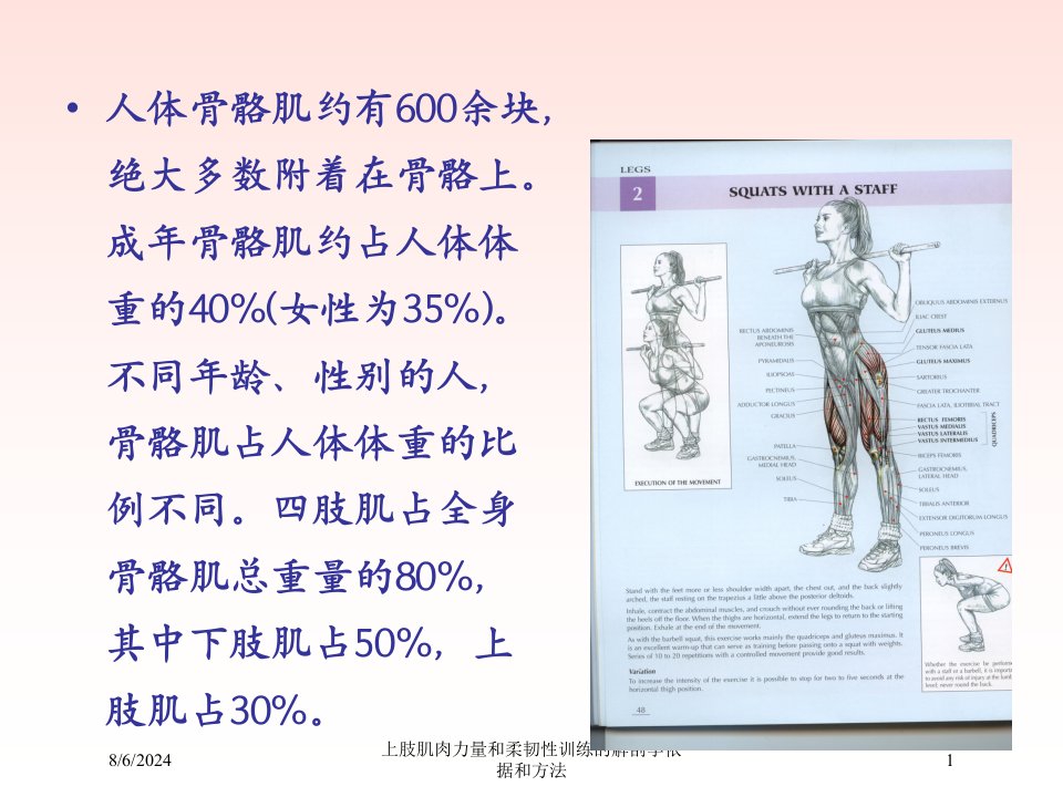 2021年上肢肌肉力量和柔韧性训练的解剖学依据和方法讲义