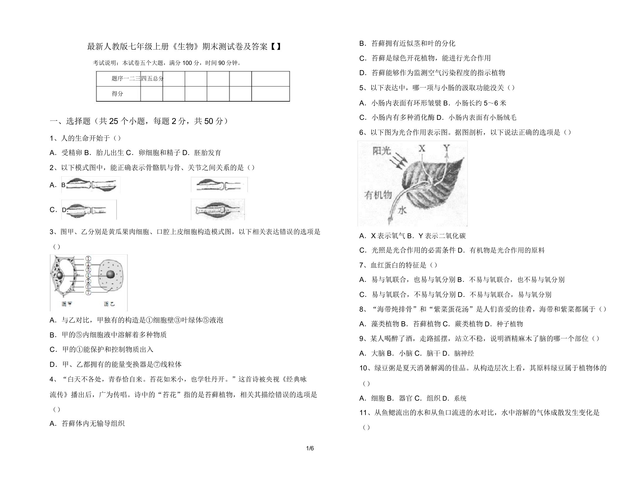 人教版七年级上册《生物》期末测试卷24