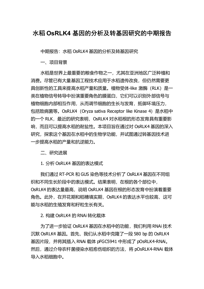 水稻OsRLK4基因的分析及转基因研究的中期报告