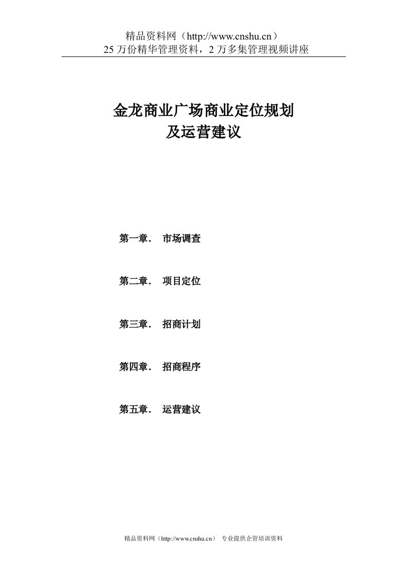 金龙商业广场商业定位规划及运营建议(doc60页)