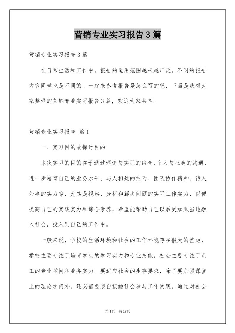 营销专业实习报告3篇例文