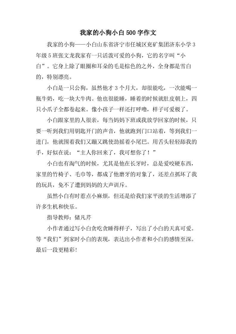 我家的小狗小白500字作文