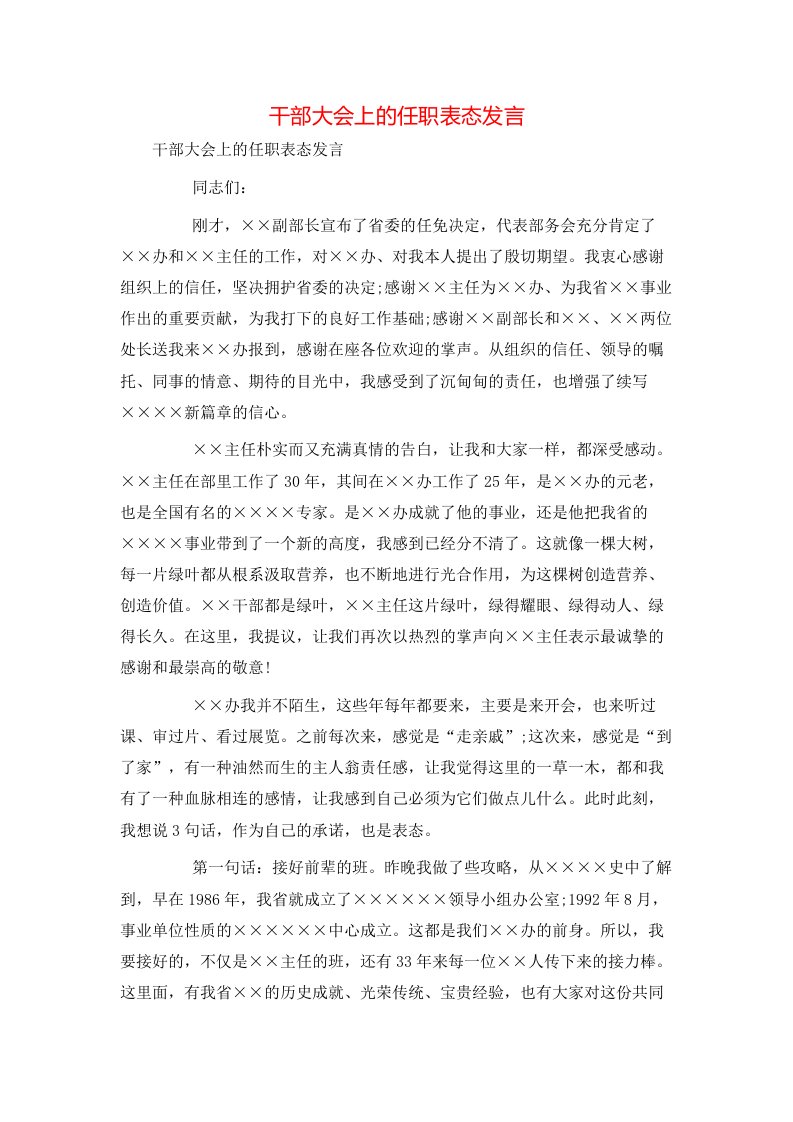 讲话发言-干部大会上的任职表态发言