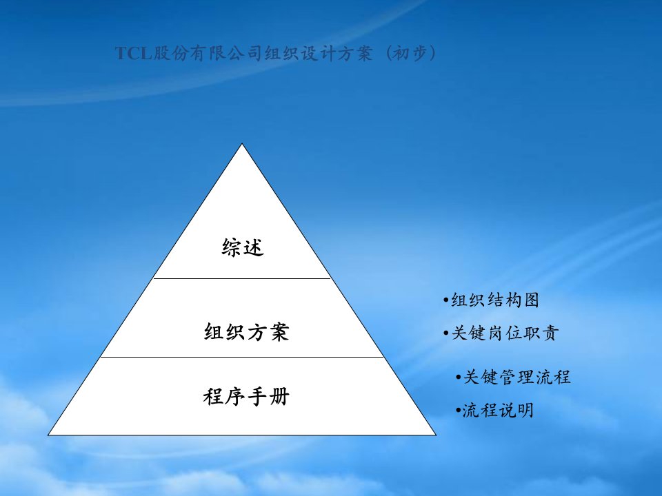 某咨询TCL管理整合组织设计项目方案