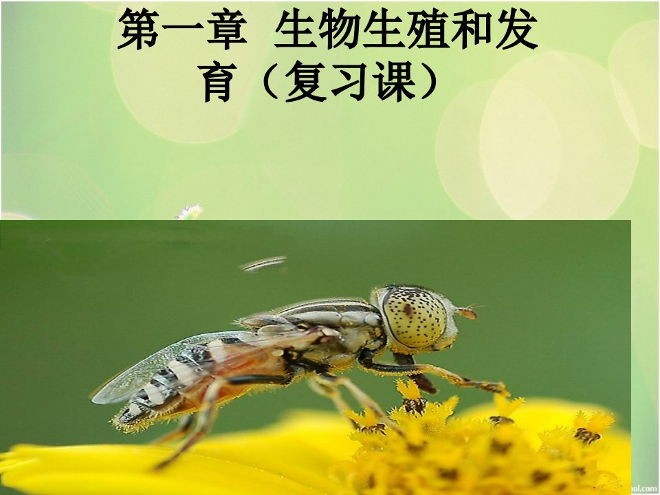 复习人教版八年级下册生物的生殖和发育公开课一等奖省优质课大赛获奖课件