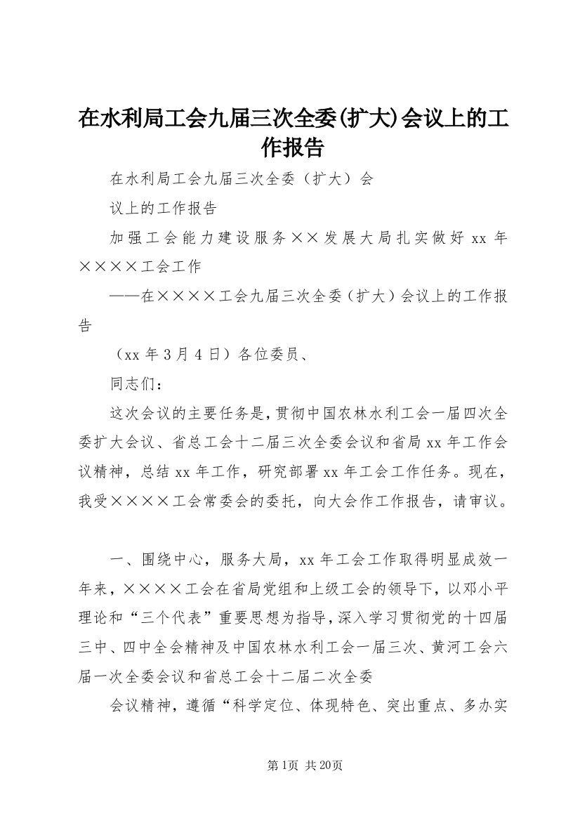 在水利局工会九届三次全委(扩大)会议上的工作报告