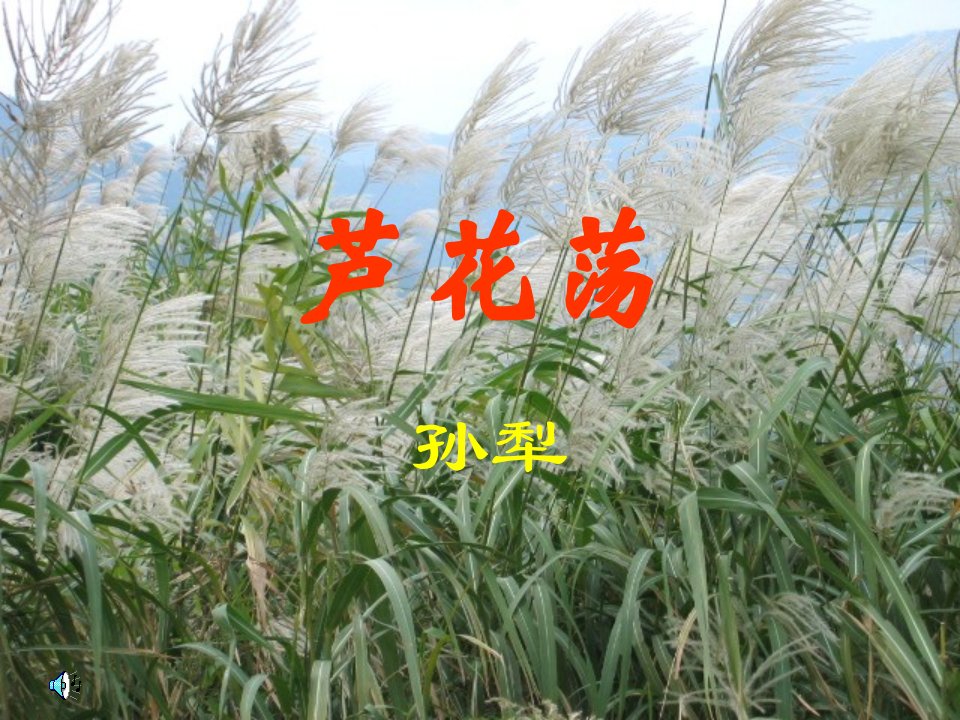 芦花荡课件