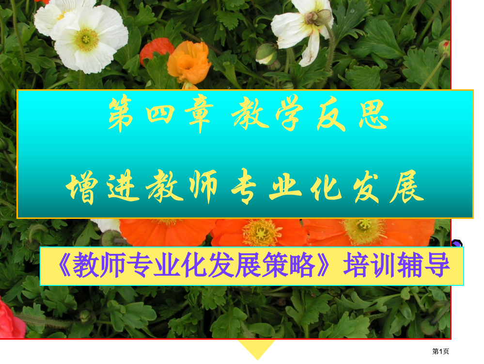 教学反思促进教师专业化发展市公开课金奖市赛课一等奖课件