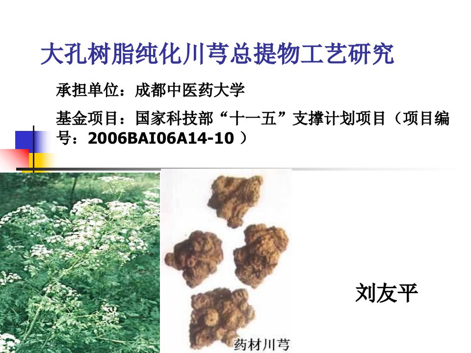 大孔树脂纯化川芎总提物工艺研究PPT课件