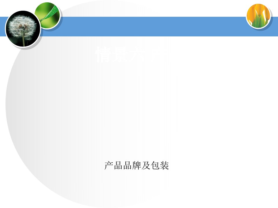 市场营销管理及产品包装战略管理知识讲课稿件