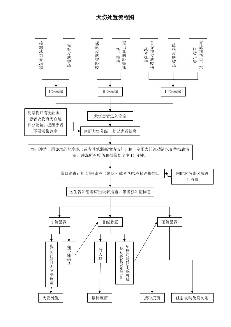 犬伤处置流程图