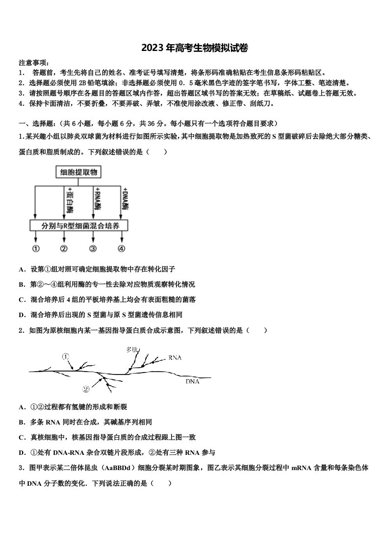 2023届河北省石家庄市行唐启明中学高三下学期第六次检测生物试卷含解析