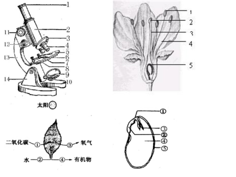 初一上生填空题(含答案)