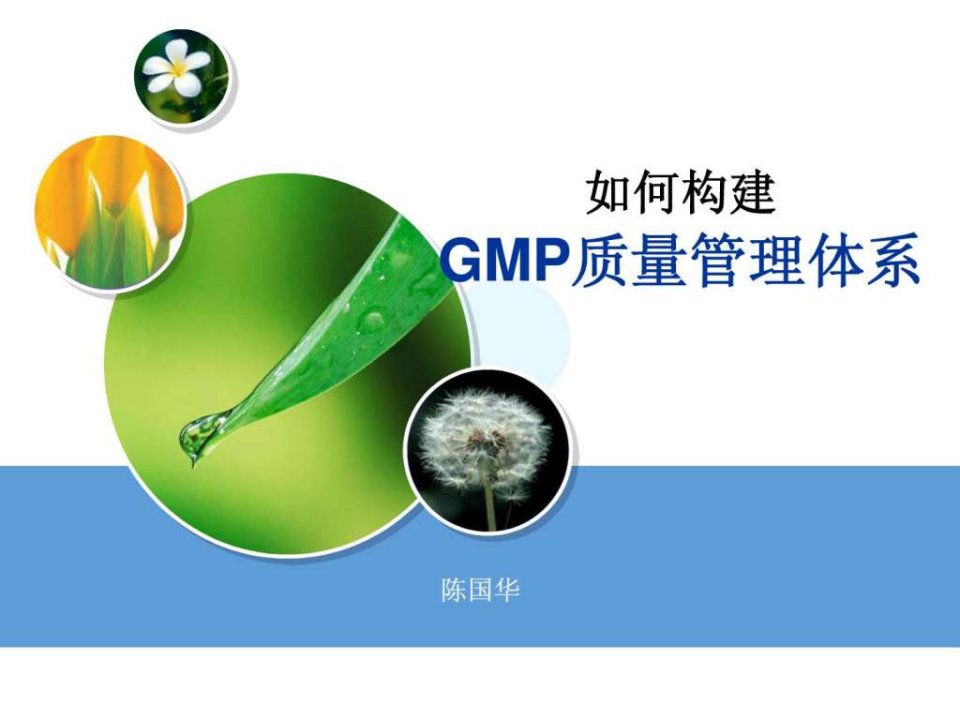 如何构建GMP质量管理体系.ppt