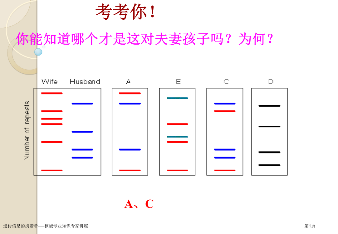 遗传信息的携带者──核酸专业知识专家讲座