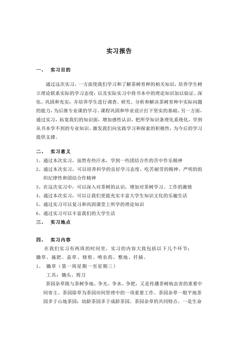 茶园实习报告