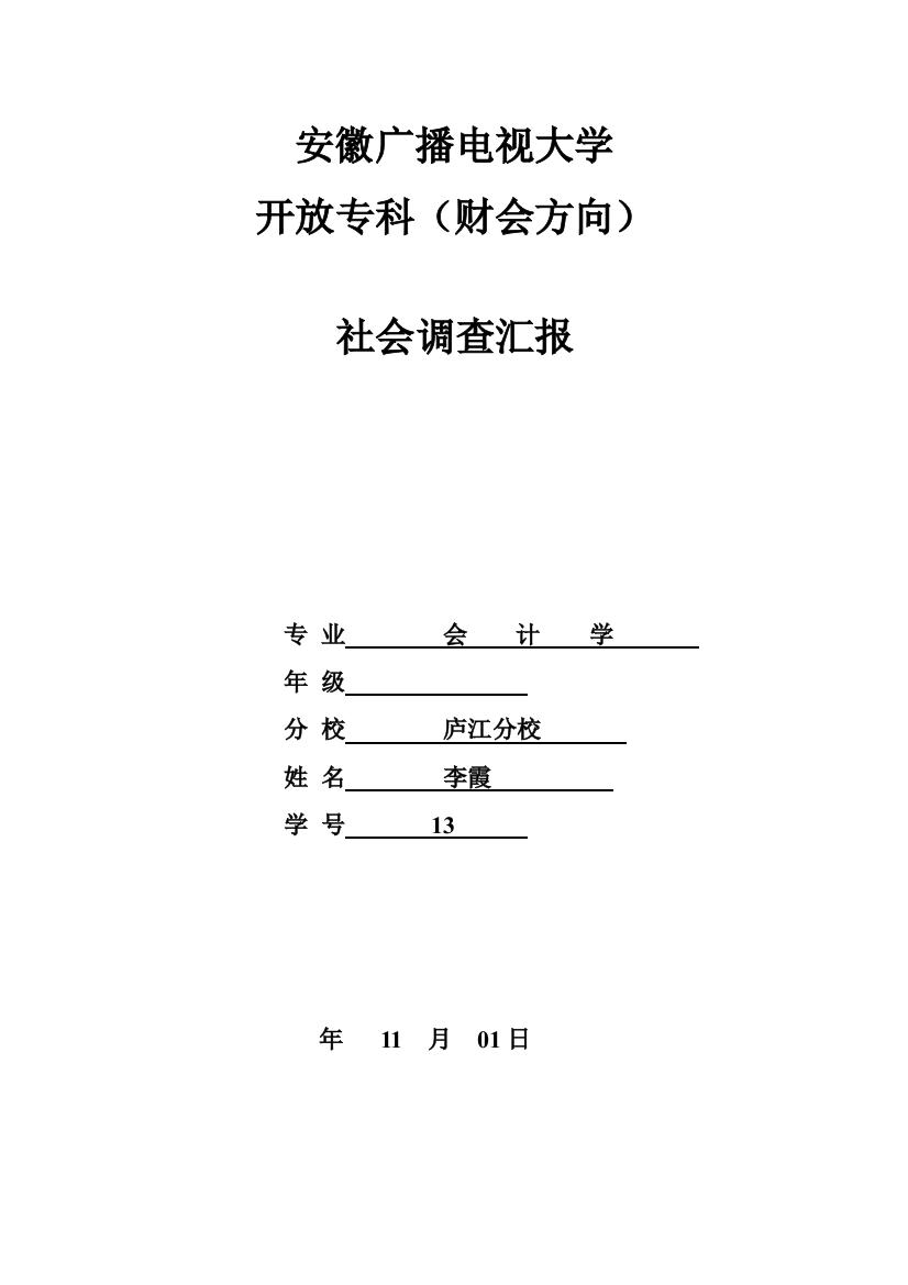 社会调查研究报告会计专业